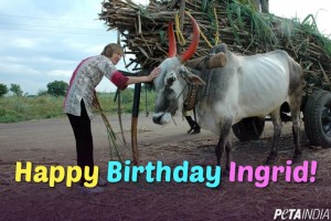 Happy Birthday Ingrid Newkirk