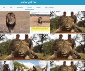 Animals worst nightmare, Walter Palmer, dentist, killer, lowlife, murderer